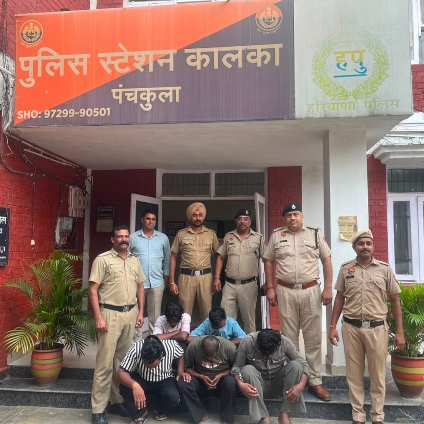 कालका में युवक पर हमला करने वाले 5 गिरफ्तार:लोहे की रॉड और ईंटों से किया वार, पुरानी रंजिश में दिया वारदात को अंजाम