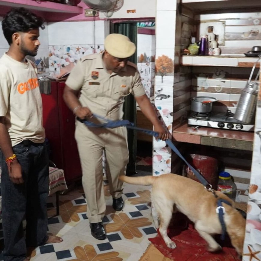 पंचकूला पुलिस का तीन कॉलोनियों में सर्च ऑपरेशन:6 संदिग्ध लोगों को हिरासत में लिया, 46 बाइक जब्त की, किराएदारों का वेरिफिकेशन की हिदायत