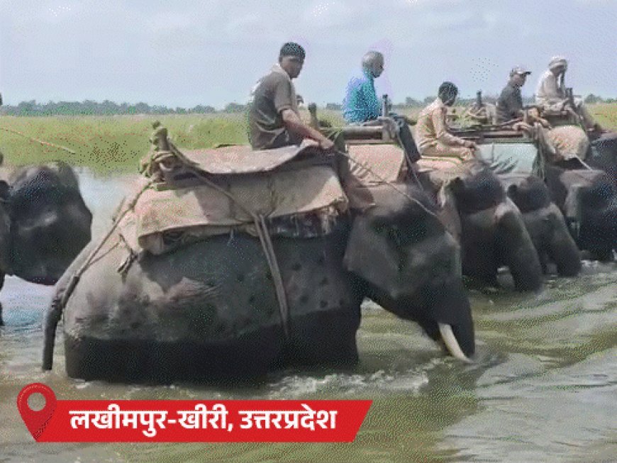 उत्तराखंड में 170 फीट लंबा ब्रिज बहा:छत्तीसगढ़ में 2 कॉलेज स्टूडेंट्स नदी में लापता; बिहार में 47 लाख लोग बाढ़ प्रभावित, MP-राजस्थान में बारिश