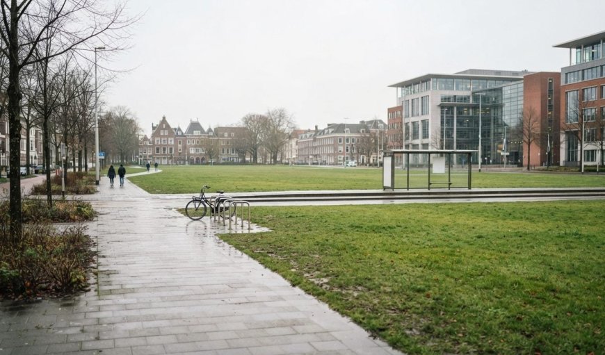 The Hague में शरणार्थी नीति विरोधी प्रदर्शन में भड़की हिंसा, पुलिस ने कई लोगों को पकड़ा